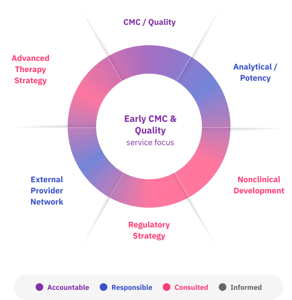 Early CMC and Quality Strategy multidisciplinary participation graph