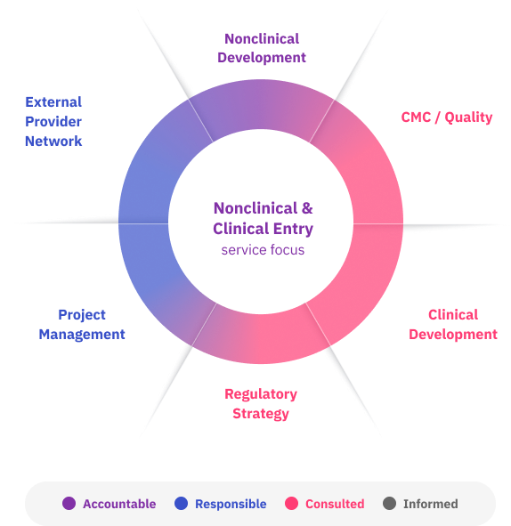 Nonclinical Evaluation and Clinical Entry Guide multidisciplinary participation graph